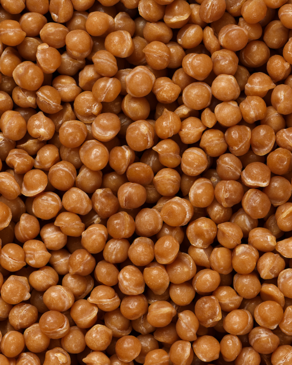 Karamel